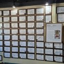 강릉육사시미 - 금천구 독산로75길 23 | 강릉육사시미