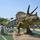 엑스포주차장 이미지