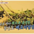 청산도수산
