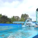 대경로(서) 이미지