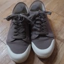 브라운스프링 이미지