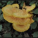 산심농장 이미지