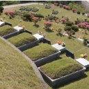 강원장의사 이미지