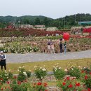 임실치즈마을