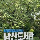 남산작은도서관 | 숲속에서 피크닉, 남산도서관 북크닉 후기