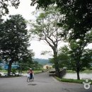 숲정이 Daum카페