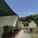 도일로 | 서울 근교 감성 바베큐장 평택 포레스트 도일 후기