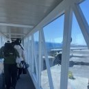 우쿨렐레와 떠나는 ost 여행 | 5년만에 혼자 떠난 Jeju 여행 그런데 이제 만삭 임산부인 🤰🏻💭