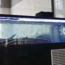 착한장어소고기무한리필직판장 이미지