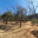 고인목장 이미지