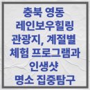 영동역 광장 | 충북 영동 레인보우힐링관광지, 계절별 체험 프로그램과 인생샷 명소 집중탐구