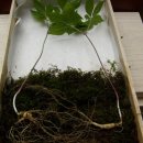 푸른솔농장2 이미지