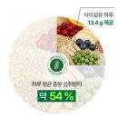 밥식이 | 암웨이 식이섬유 추천 '화이버 비츠 플러스' 내돈내산 후기, 정품 구매 방법
