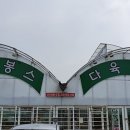 다봉스다육