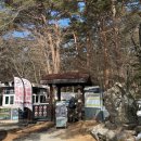 제주멍 | 제주 한라산 영실코스 윗세오름 1월 후기