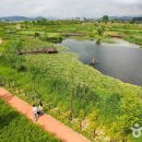 요천생태습지공원 애견놀이터 이미지