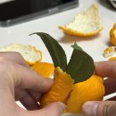 승수농장 이미지