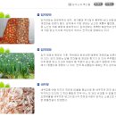 임자 화산 지석묘 | 임자도 여행 관광지 및 볼거리 소개