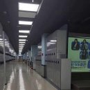 GDR레슨파크 이미지