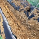 한마을사 이미지