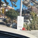 반딧불민박 | 여수 돌산 애견동반 피읖카페 애견운동장 있는 대형카페 내돈내산