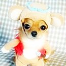 ㅠㅠ