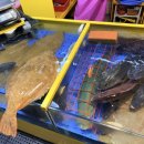 대명상회 이미지