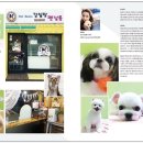 애니멀 살롱 이미지