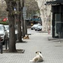[🏔️조지아 4박5일] 2일차 부킹닷컴 원데이투어 : Jvari Church, Mtskheta, Uplistsiche Cave Town...
