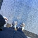 무궁화요리학원 | 친구들 만나러 사부작사부작