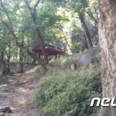 서림공원 1 이미지