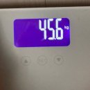 큐사랑도당점 | 주제는 없고요 그냥 사진털기