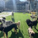 아이조아요양보호소 전남광주점 이미지