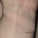 오웰 | 딘토 블러피니쉬 올 댓 모먼츠 블러셔 501 메리 오웰 내돈내산 후기