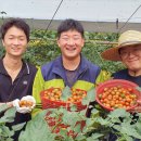 농업회사법인팜팜(주)