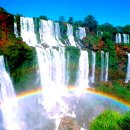 무주읍246 이미지