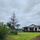 베일리하우스애견펜션 이미지