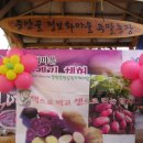 정표농장 이미지