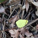 다대포항역 이미지