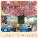 양산 중부동 6개월 아기랑 같이 간 키즈카페 ‘꼬마대통령 중부점’