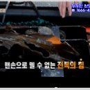 완도참전복