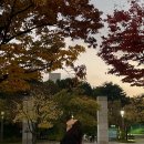 이마트24 춘천백령마을점 | 2025년 11월 이야기