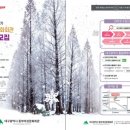 양재(초급) 이미지