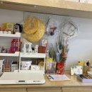 마곡 고양이 미용 호텔 이미지