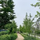 경의선숲길 이미지