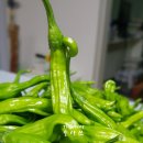 호상농장 이미지