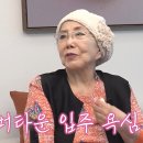 사미자 카카오 검색결과