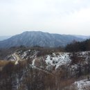 행운목장 이미지