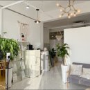 비비드 속눈썹 이미지