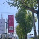 사림동143 이미지